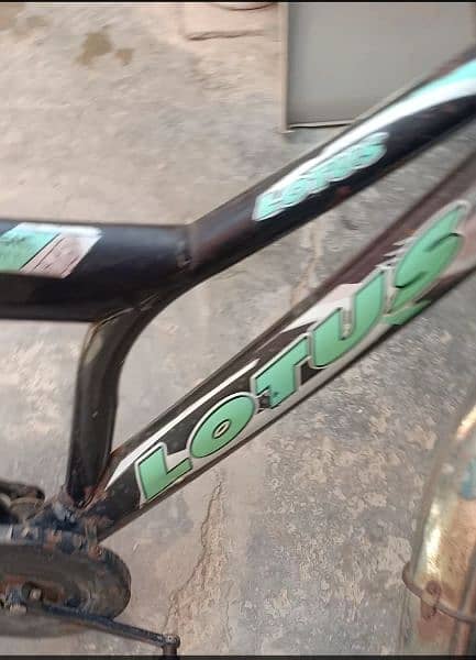 Lotus bicycle for Sale 26" 4