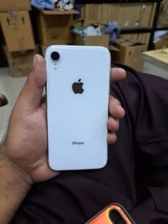 iphone xr 256gb