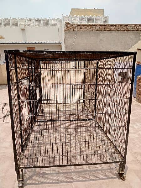 Flying cage colony fix angle moti wire mein with wheels size 6*3*3 8