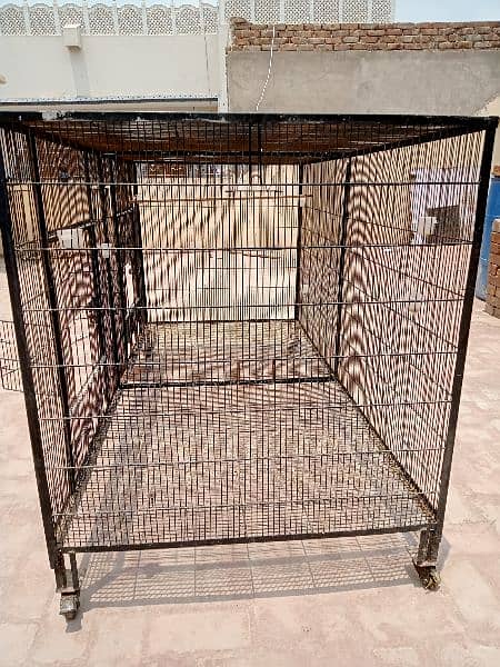 Flying cage colony fix angle moti wire mein with wheels size 6*3*3 12