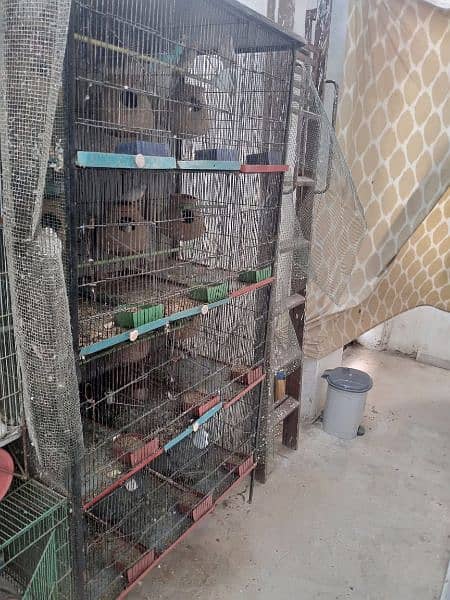 12 Portion Budgie Cage and Breather Pair 2