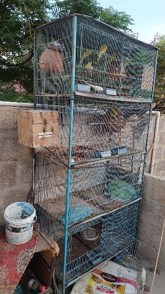 8 Portions Cage Only Cage 1