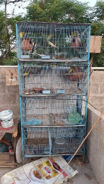 8 Portions Cage Only Cage 2