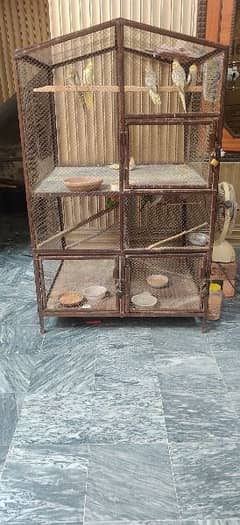 Cage 5ft height 3 ft width