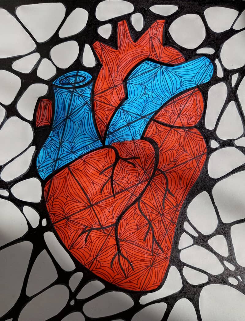 HUMAN HEART DRAWING/PAINTING ON CANVAS PAPER OF 9X10 INCHES 1