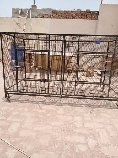 big size cage for Birds dog's cat's etc 1