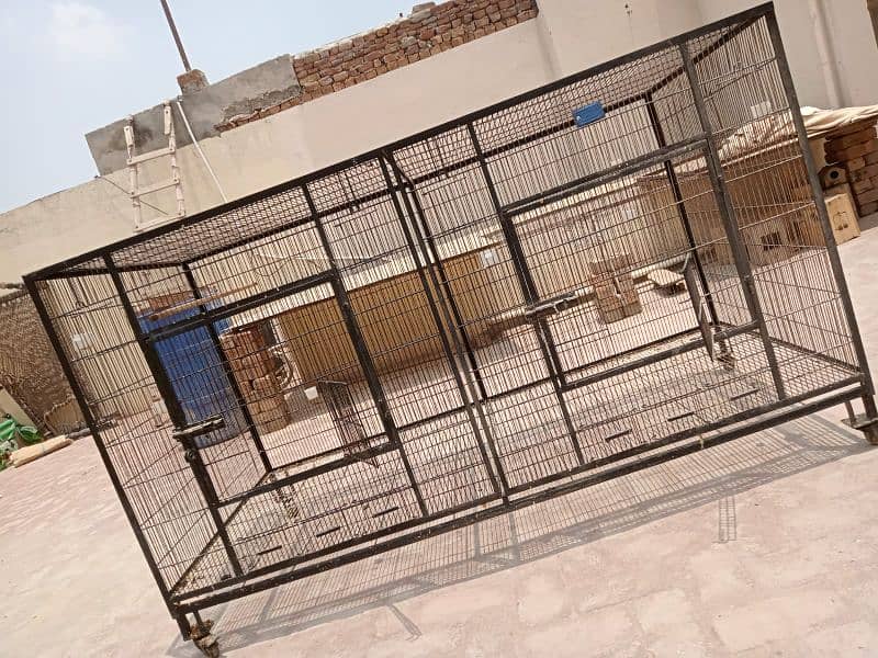 big size cage for Birds dog's cat's etc 6