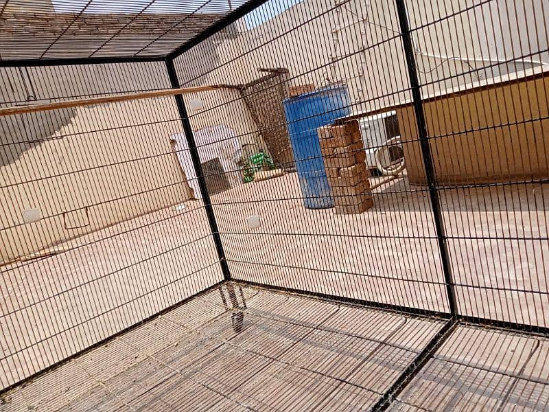 big size cage for Birds dog's cat's etc 10