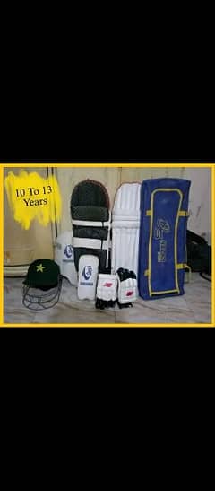Hardball cricket kit for sale | good level cricket kit 0