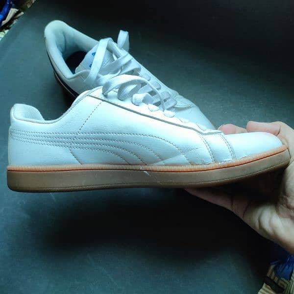 Original Puma Branded Shoes | EUR 40 | Condition 8/10 9