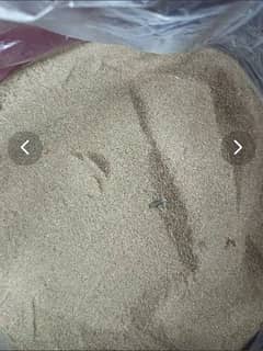 wholesale for mealworms and beetles both live, dry, fertilizer, frass,