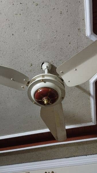 Time Star Ceiling Fan 5