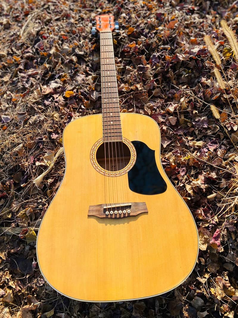 Acoustic Guitars Professhional Branded ( New Guitars at Happy Club) 9