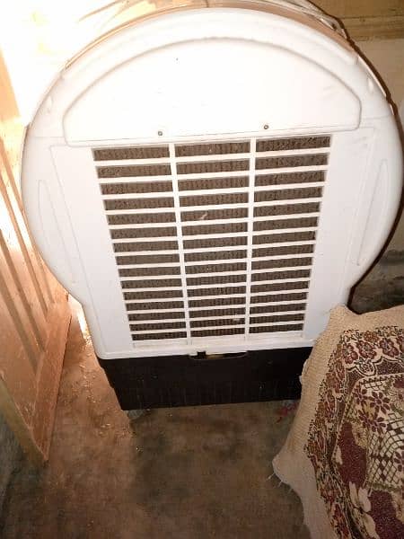Cooler fan 1