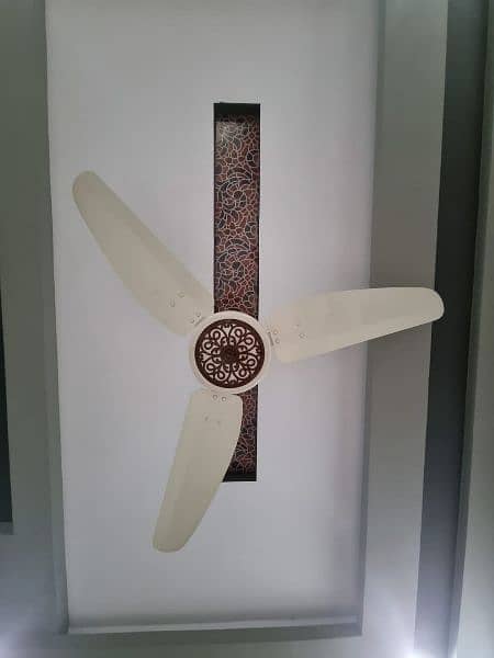 Gfc royal and sk fan for sale 6