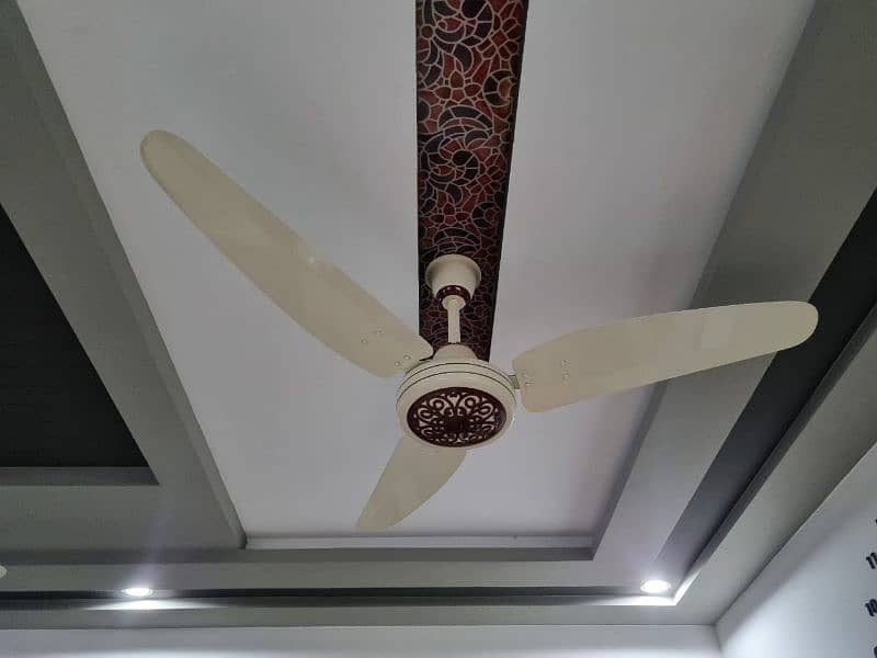 Gfc royal and sk fan for sale 7