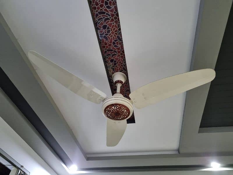 Gfc royal and sk fan for sale 8