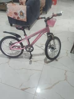 New 20 Inches sports bicycle for girl