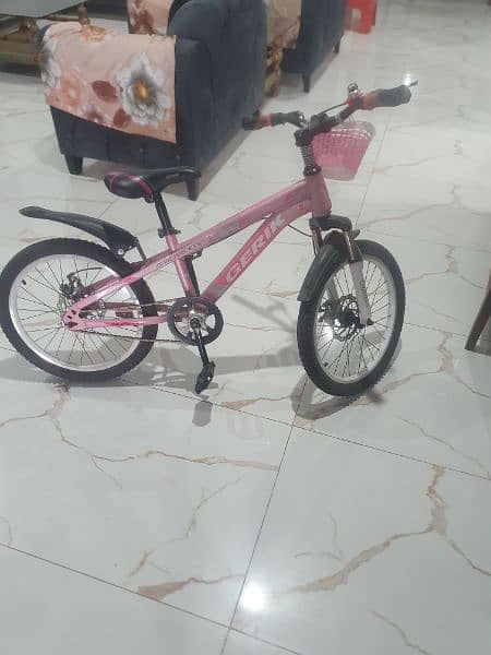 New 20 Inches sports bicycle for girl 0