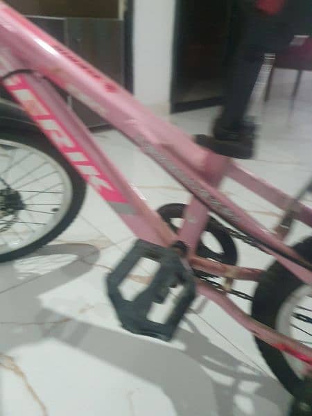 New 20 Inches sports bicycle for girl 2