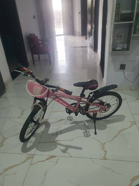 New 20 Inches sports bicycle for girl 9