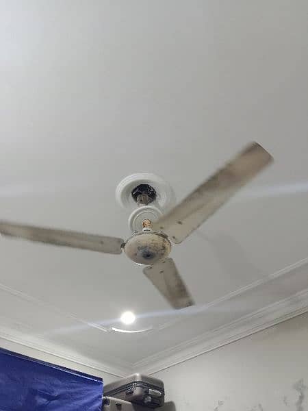 Celling Fan 1