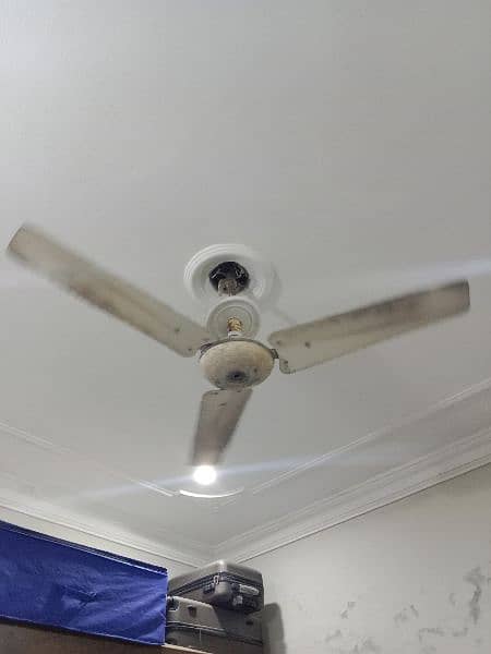 Celling Fan 3