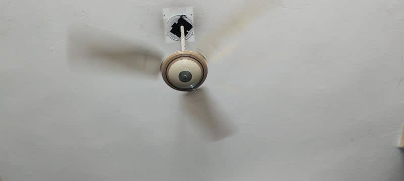 celling fan 2