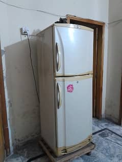 Pel Refrigerator For Sale 0