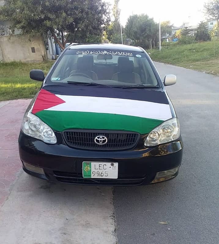 Pakistan Flag , Palestine flag , Scarf | Logo Flag | Country Flag 18