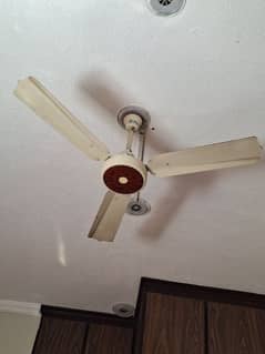 3 fans united one year used for sale 0