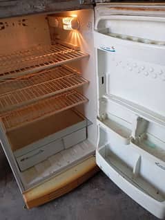 Pel Refrigerator Medium Size