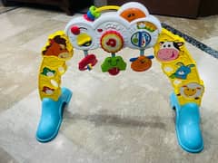 winfun Battery operated musical Baby Gym | activity gym