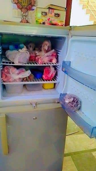 pel medium size refrigerator perfect condition 1