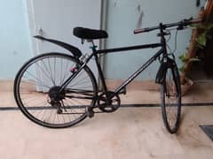 Cycle number 03314541911 only this num for call 0