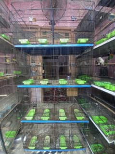 Master Folding cage 8 portion 9/10 condition