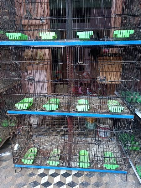 Master Folding cage 8 portion 9/10 condition 1