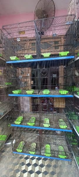 Master Folding cage 8 portion 9/10 condition 2