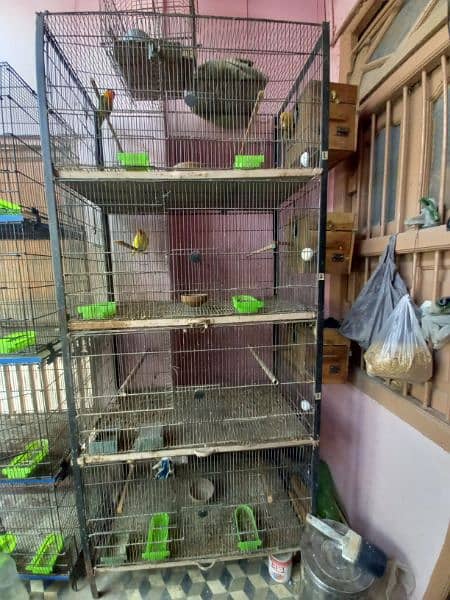 Master Folding cage 8 portion 9/10 condition 4