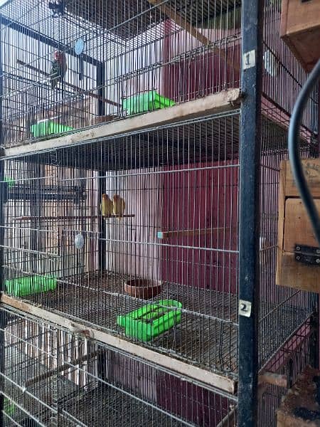 Master Folding cage 8 portion 9/10 condition 5