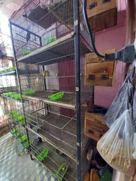 Master Folding cage 8 portion 9/10 condition 6