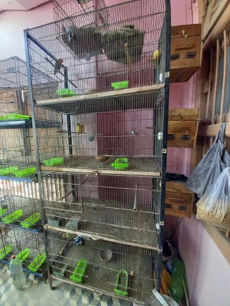 Master Folding cage 8 portion 9/10 condition 7