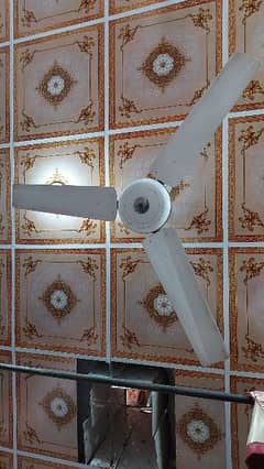 GFC coper size 56" ceiling fan