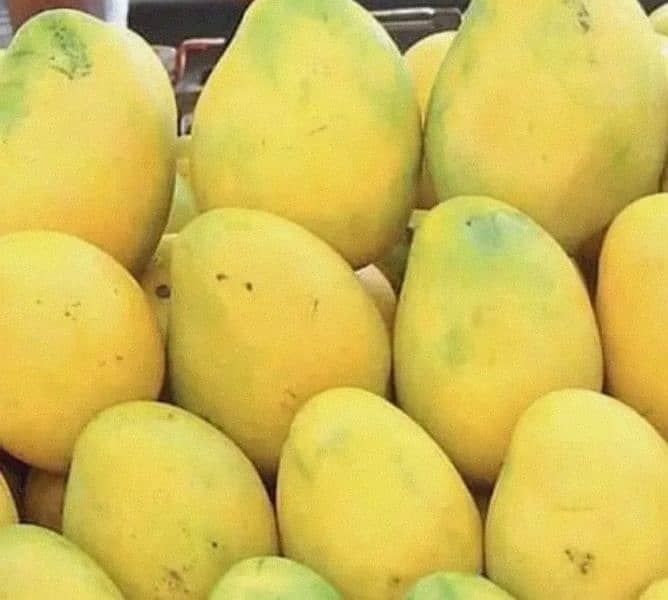 Multani Mango available for sale delivery available 0