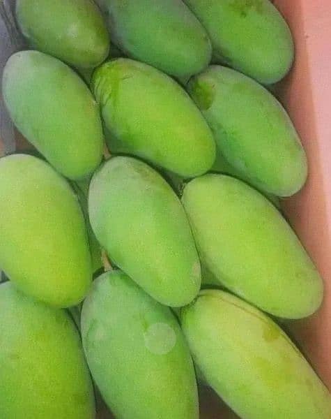 Multani Mango available for sale delivery available 2