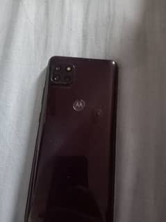 MOTOROLA