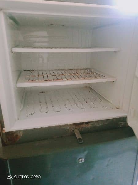 Pel fridge 4