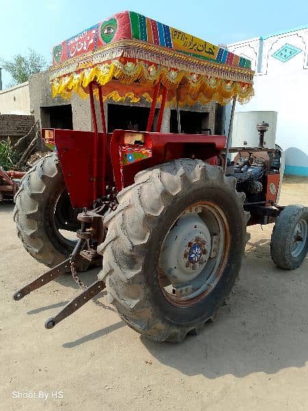 Massey 260 6