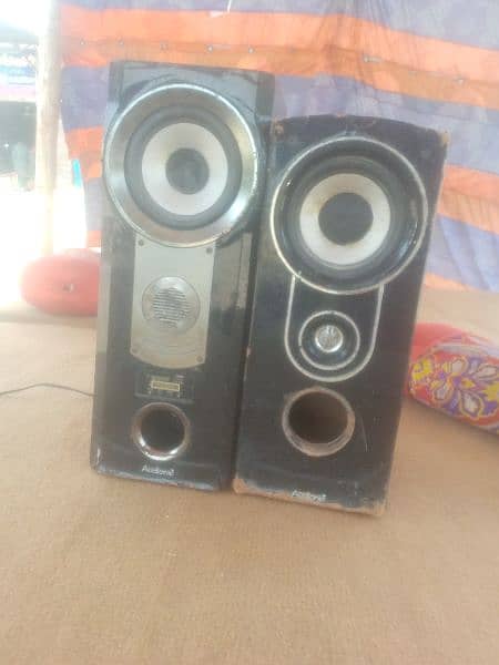 audionic woofer for 6
