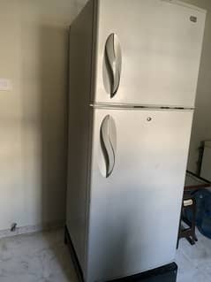 LG fridge full size